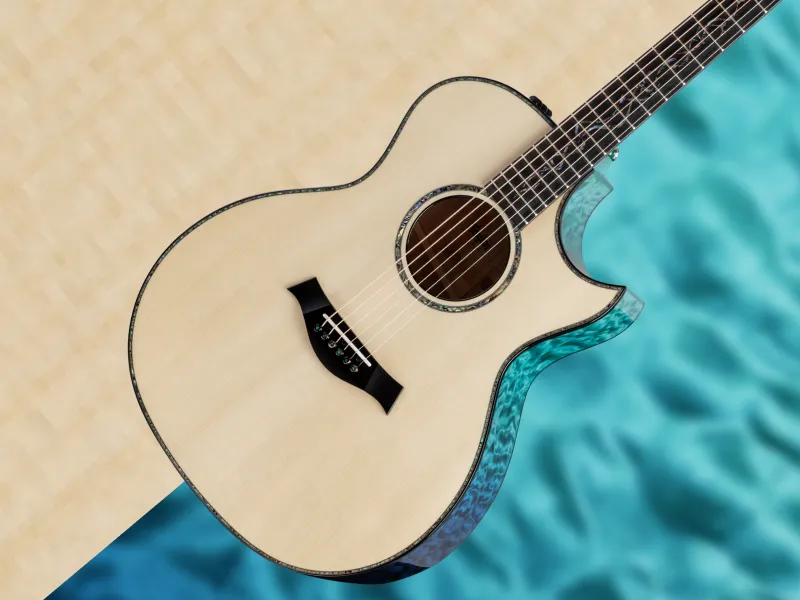 Taylor Guitars | ギターとアクセサリーを買う